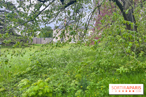 Le parc de Bois-Préau - nos photos - image00001