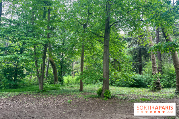 Le parc de Bois-Préau - nos photos