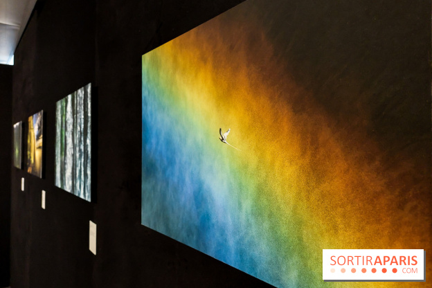 Reflets de la nature, nos photos de l'exposition - 20240507 141029