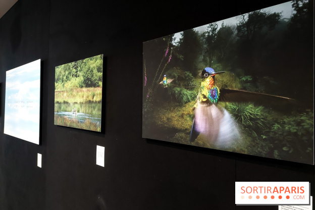 Reflets de la nature, nos photos de l'exposition - 20240507 141206