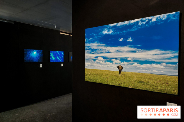 Reflets de la nature, nos photos de l'exposition - 20240507 141333