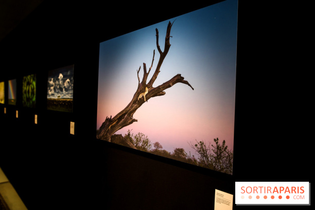 Reflets de la nature, nos photos de l'exposition