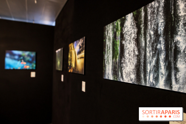 Reflets de la nature, nos photos de l'exposition