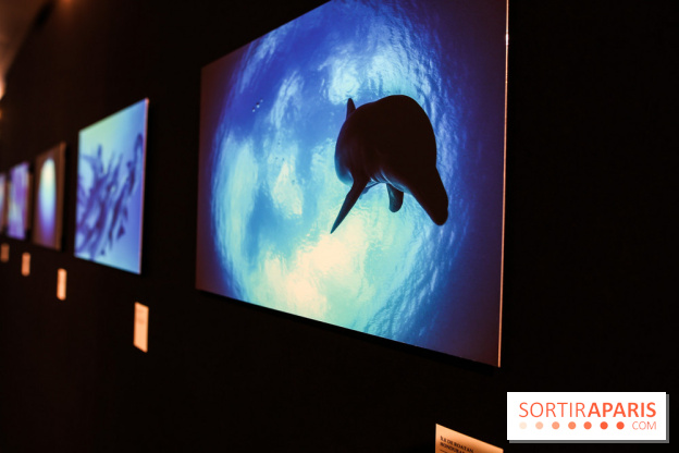 Reflets de la nature, nos photos de l'exposition - IMG 4824