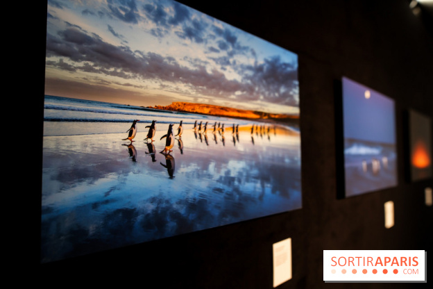 Reflets de la nature, nos photos de l'exposition