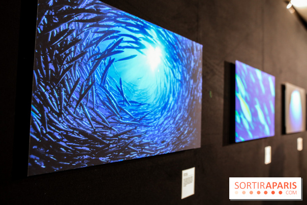 Reflets de la nature, nos photos de l'exposition - IMG 4828