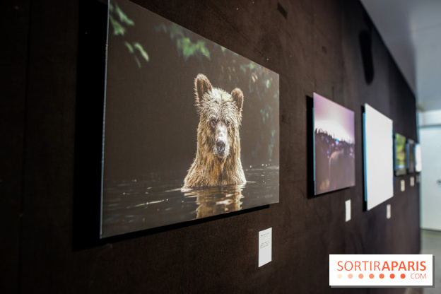 Reflets de la nature, nos photos de l'exposition