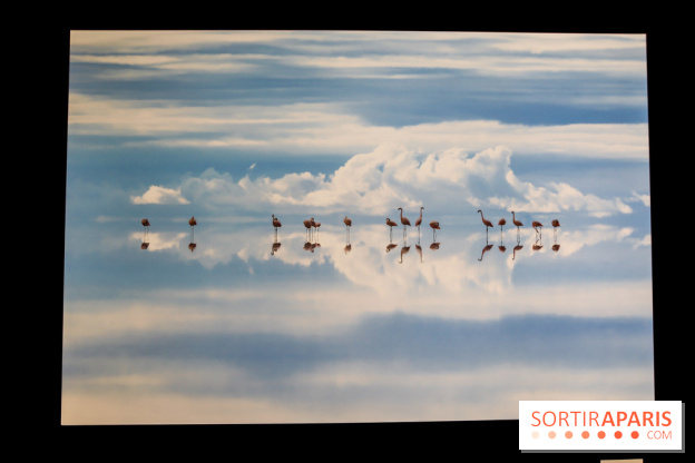 Reflets de la nature, nos photos de l'exposition - IMG 4834