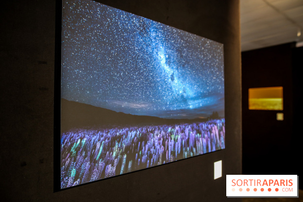 Reflets de la nature, nos photos de l'exposition - IMG 4841