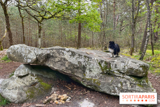 Dolmen de la Pierre Ardoue - IMG 0972