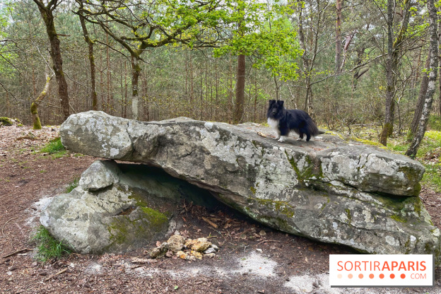 Dolmen de la Pierre Ardoue - IMG 0974
