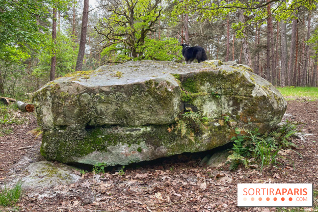 Dolmen de la Pierre Ardoue - IMG 0983