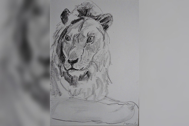 Campagne #32834 - Dessin N & B M. Mourlot