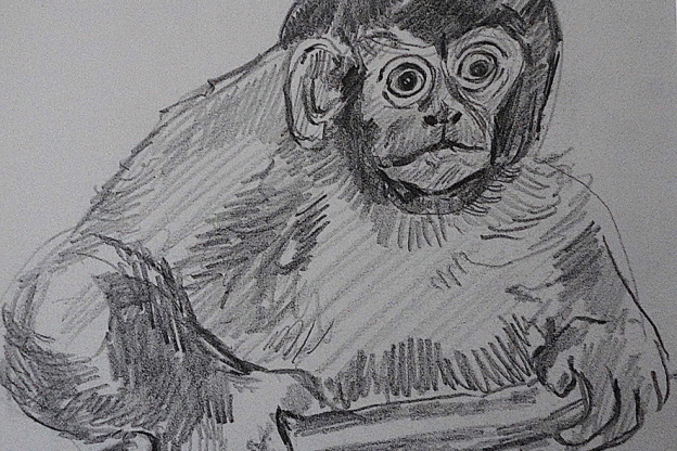 Campagne #32834 - Dessin N&B Maurice Mourlot 