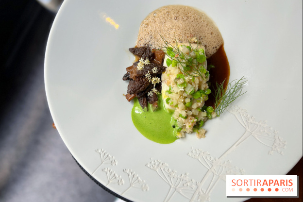 Auguste - Turbot, petits pois, tourteau