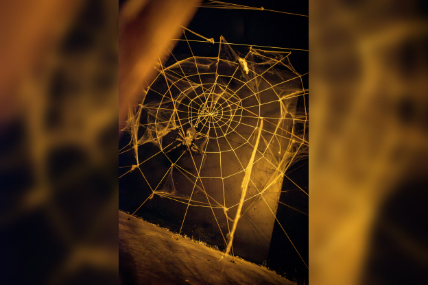 L'Aventure Fantastique - yann delcambre F   25