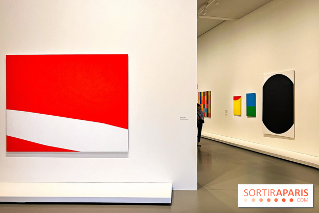 Formes et couleurs, l'exposition hommage à Ellsworth Kelly à la Fondation Louis Vuitton - image00055