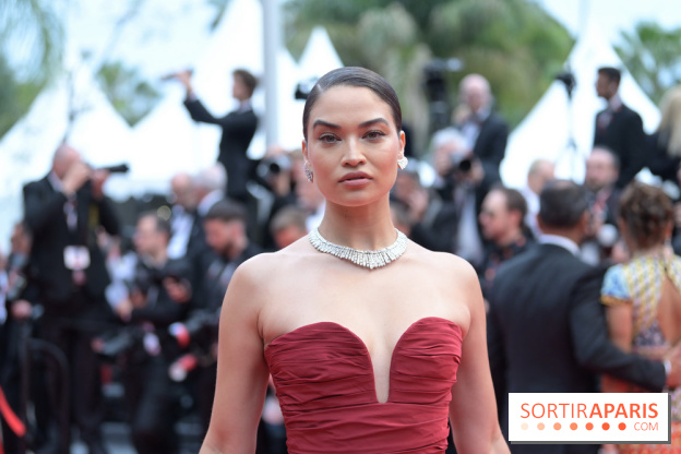 © Rachid Bellak - Cannes 2024 : Cérémonie d'ouverture - BEL 0931