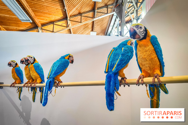 Rayon Jouets, l'exposition ultra ludique du Hangar Y - IMG20240515133341