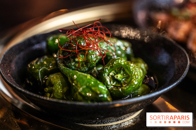 Yamato Grill, le restaurant grill japonais aux Halles  -  A7C3726