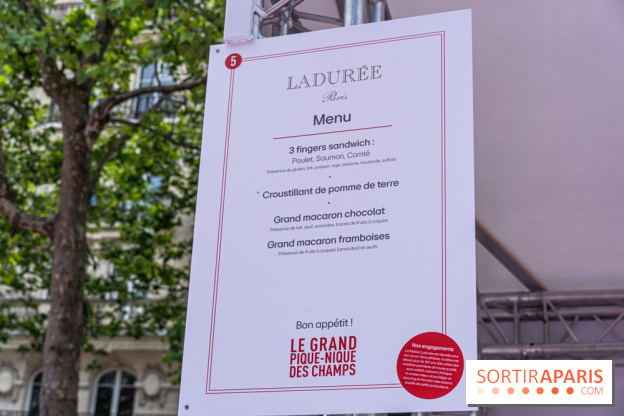 Grand pique nique des Champs-Élysées - photos