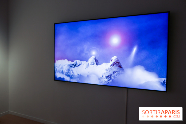 Clive Holden : les photos de son expo au Centre culturel canadien - IMG 5226 2