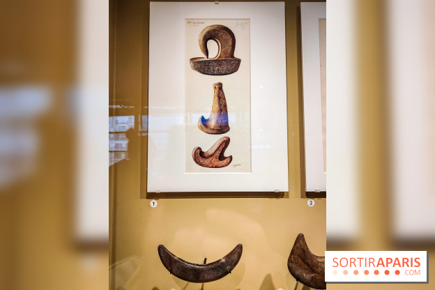 Exposition Taïnos et Kalinagos des Antilles : un voyage fascinant à faire au musée du Quai Branly - IMG20240603153315