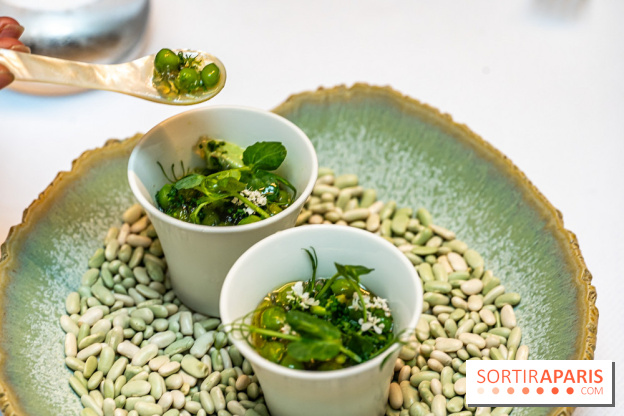 La Scène Thélème, le restaurant étoilé par Rudy Langlais -  A7C5087