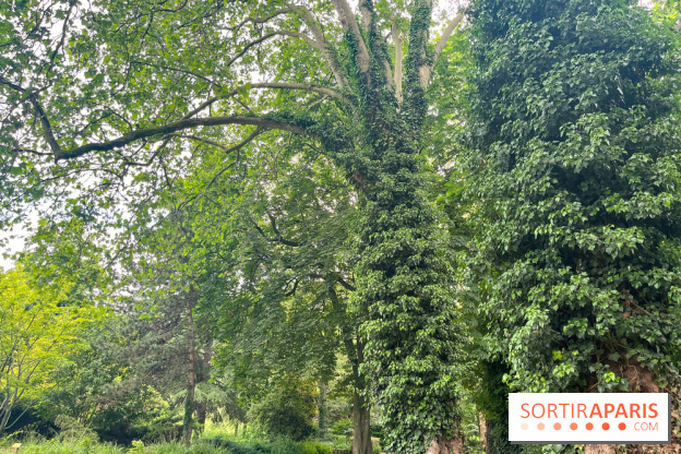 Le parc de la Légion d'honneur de Saint-Denis - nos photos - image00032