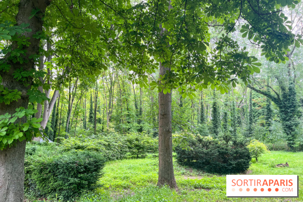 Le parc de la Légion d'honneur de Saint-Denis - nos photos - image00027