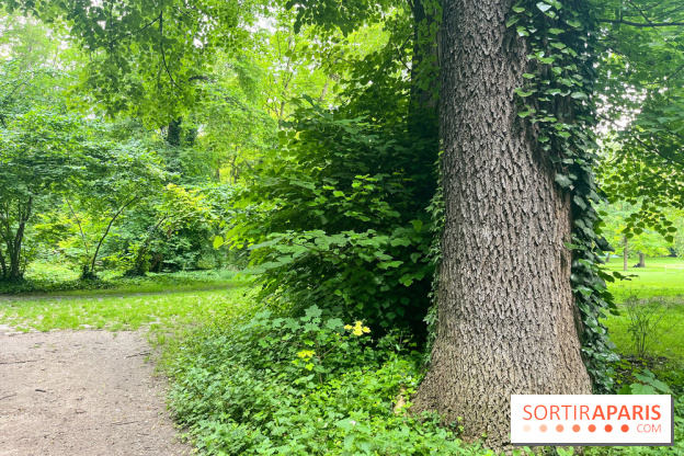 Le parc de la Légion d'honneur de Saint-Denis - nos photos - image00004