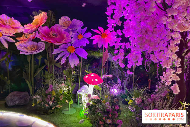 House of Dreamers - IMG 1500