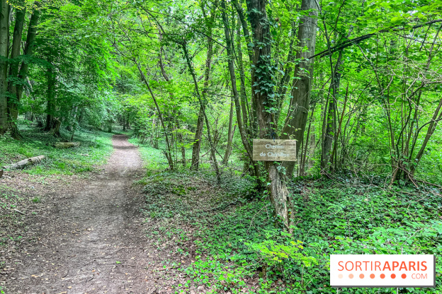 Le kiosque du belvédère de Chatillon à Risny-sur-Seine en Yvelines - IMG 9942
