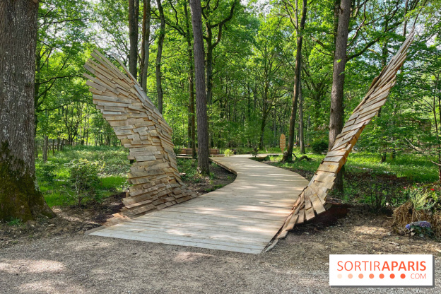 Fauconnier d'un jour - IMG 1370