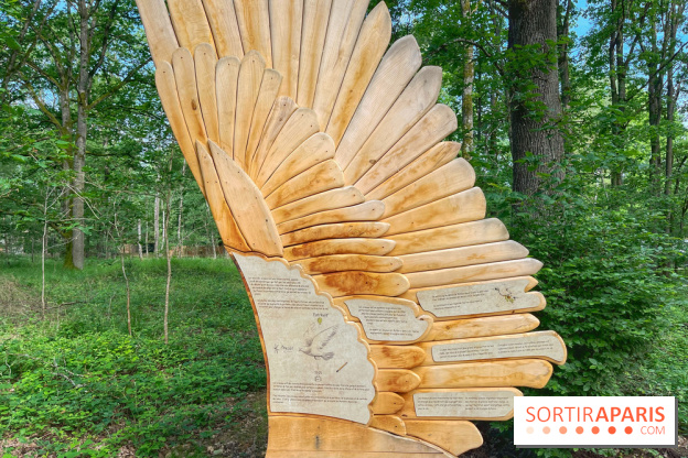 Fauconnier d'un jour - IMG 1374