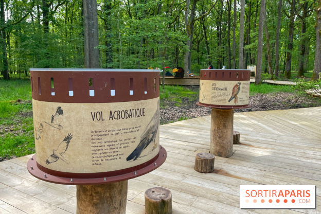 Fauconnier d'un jour - IMG 1377