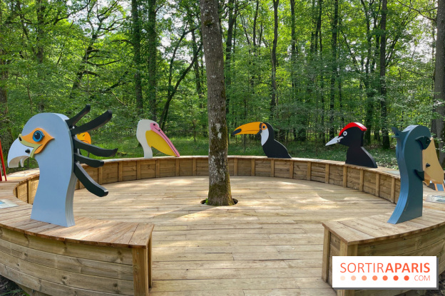 Fauconnier d'un jour - IMG 1383