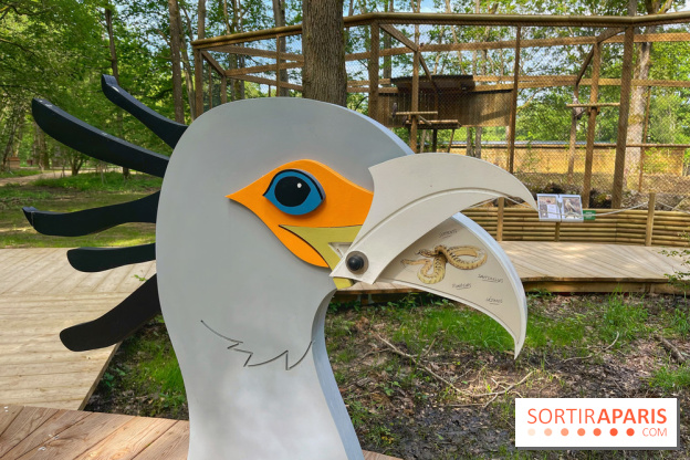 Fauconnier d'un jour - IMG 1384