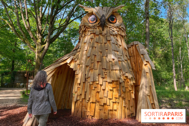 Fauconnier d'un jour - IMG 1397