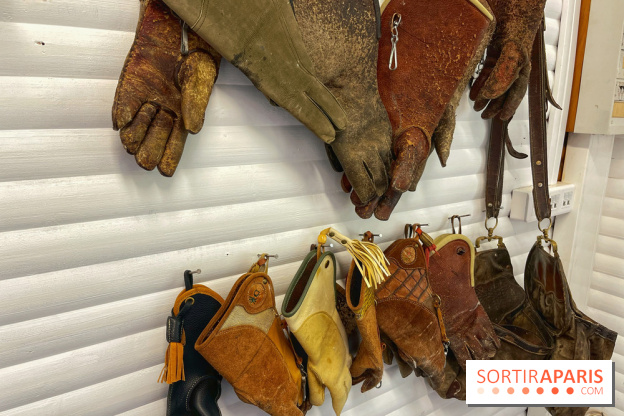 Fauconnier d'un jour - IMG 1414