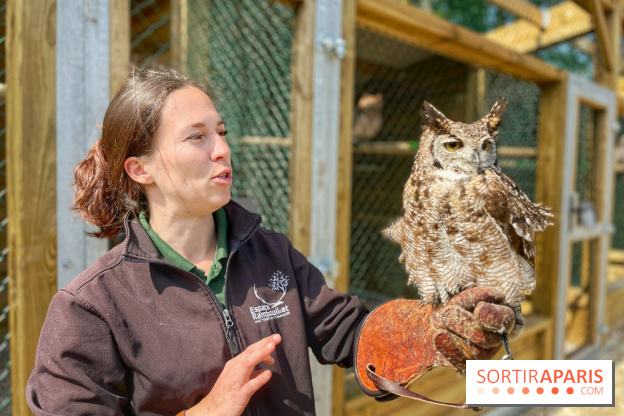 Fauconnier d'un jour - IMG 1415