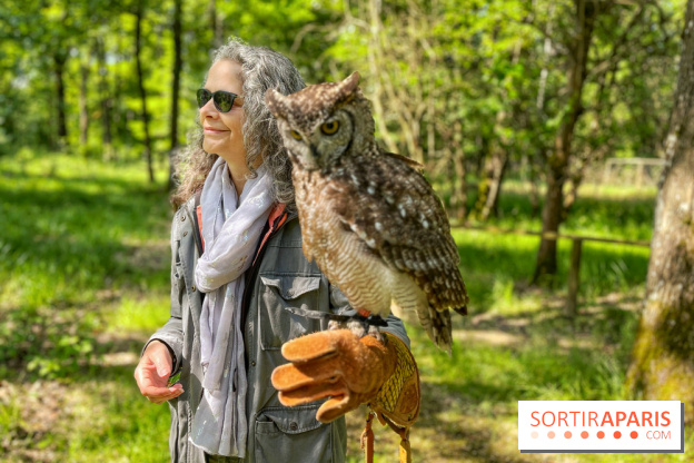 Fauconnier d'un jour - IMG 1420