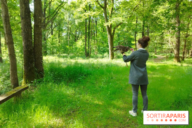 Fauconnier d'un jour - IMG 1428