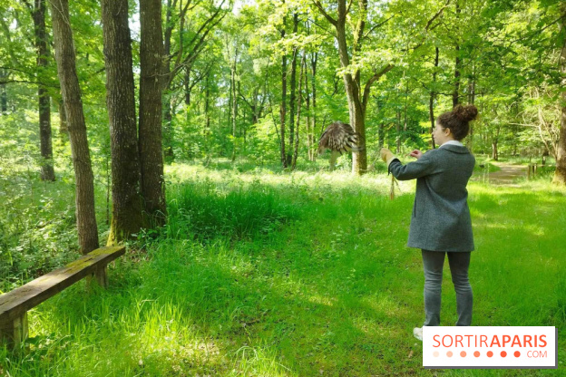 Fauconnier d'un jour - IMG 1429