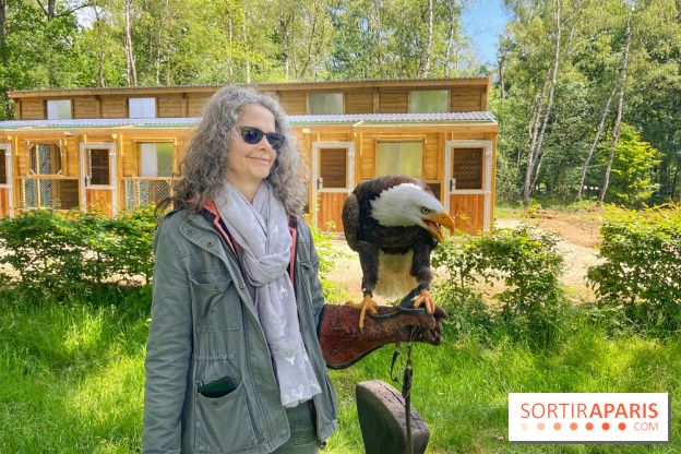 Fauconnier d'un jour - IMG 1444