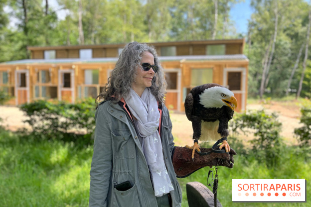 Fauconnier d'un jour - IMG 1445