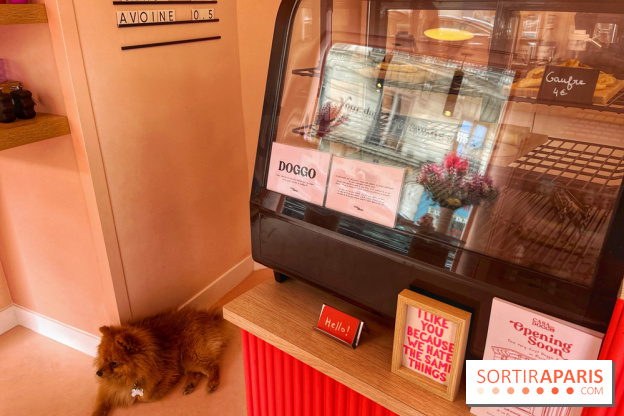 Casa del Doggo - IMG 1596