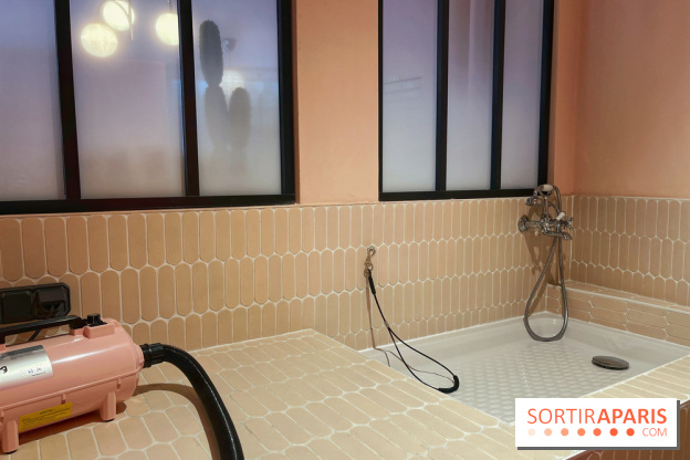 Casa del Doggo - IMG 1601