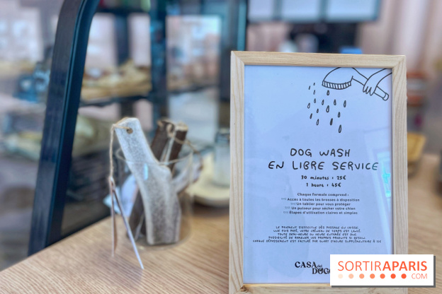 Casa del Doggo - IMG 1602