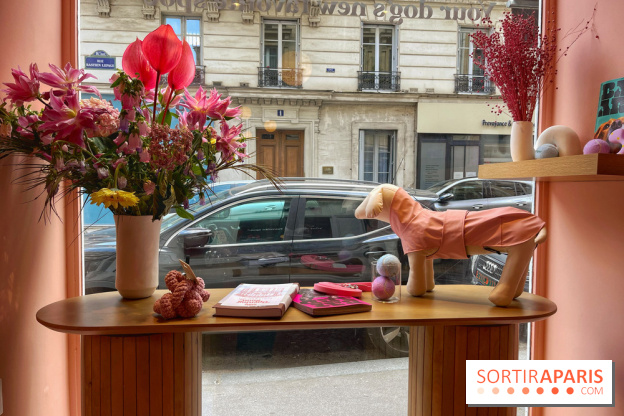 Casa del Doggo - IMG 1621